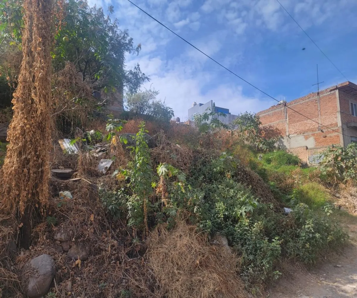 Terreno En Venta,Las Huertas,Manuel Gonzalez Ortiz S/N, San Pedro Tlaquepaque, Jalisco 45589,Manuel Gonzalez Ortiz,pfeFUY8