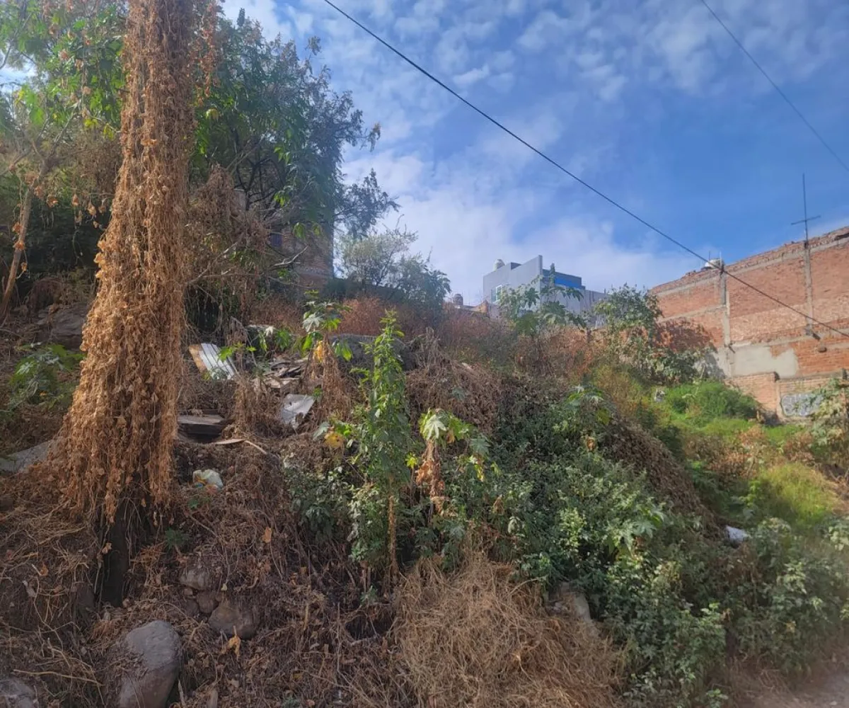 Terreno En Venta,Las Huertas,Manuel Gonzalez Ortiz S/N, San Pedro Tlaquepaque, Jalisco 45589,Manuel Gonzalez Ortiz,pfeFUY8