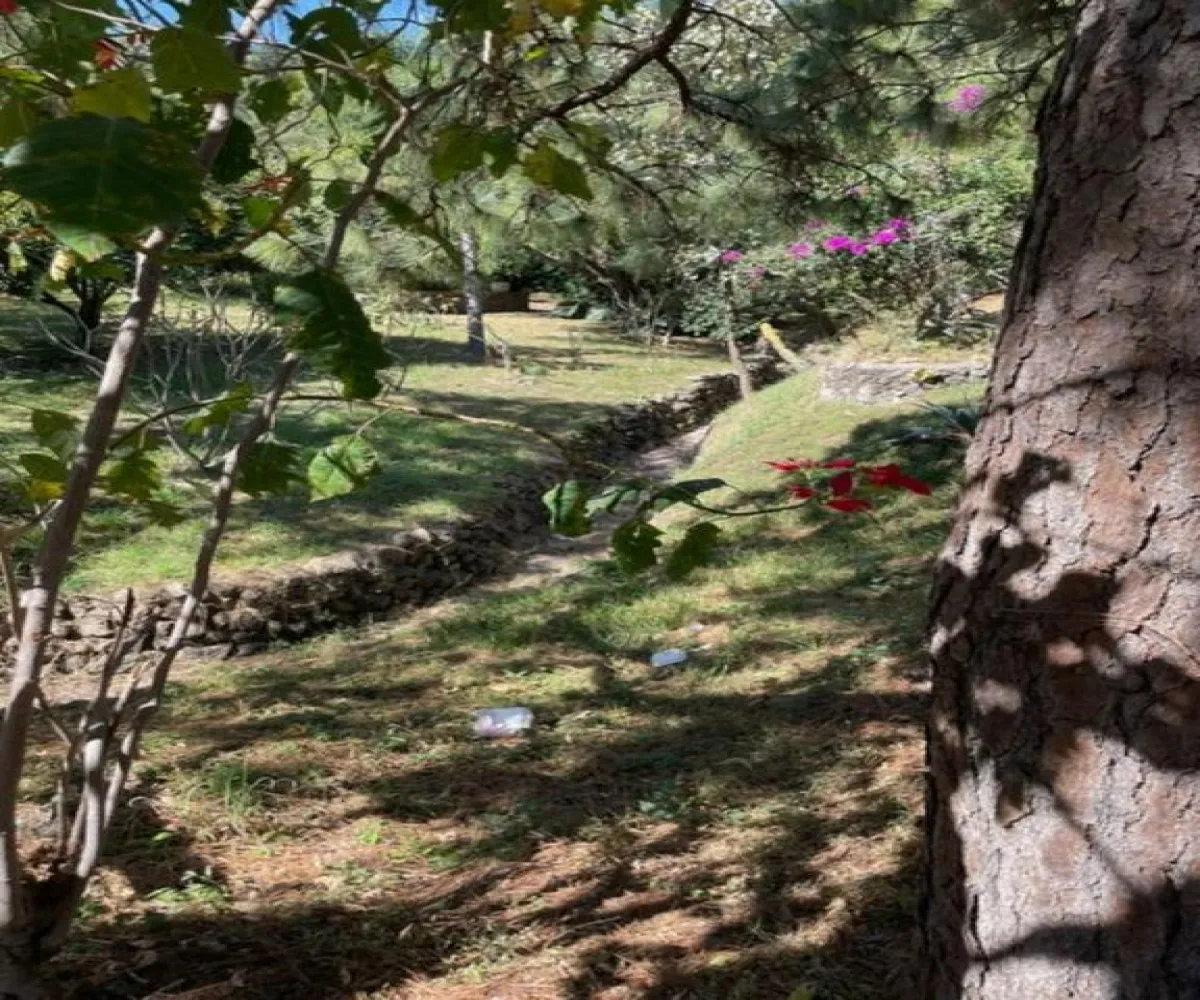 Casa En Venta,Haciendas la Herradura,paseo del encino 37 Manzana 11, Zapopan, Jalisco 45227, 2 Habitaciones,1 Baño,paseo del encino,1,payzzYG