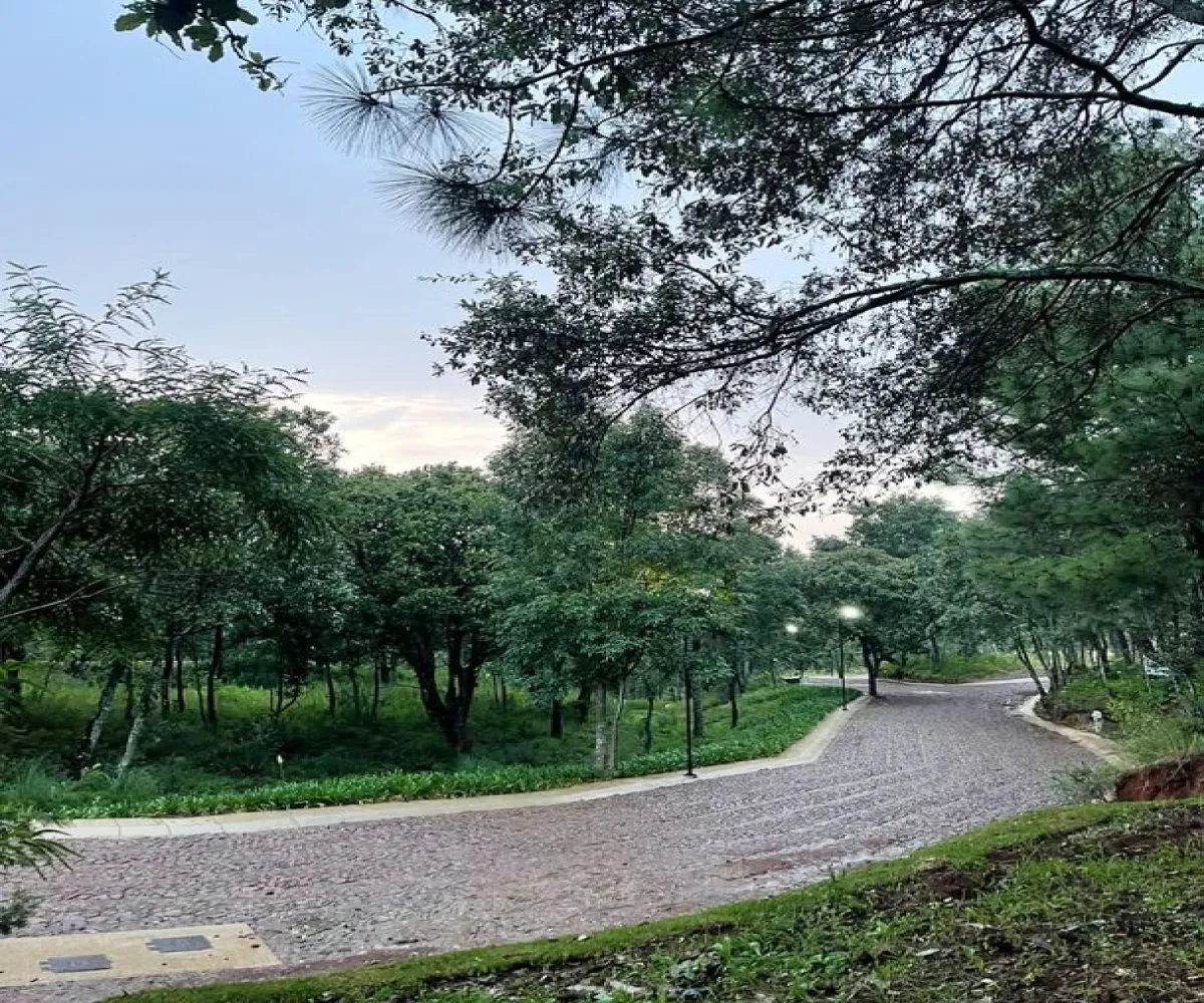 Terreno En Venta,Mazamitla,Av. Conalep ., Mazamitla, Jalisco 49500,Av. Conalep,pzgZC20