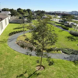 Departamento En Renta,Solares Residencial,Paseo Solares 1916, Zapopan, Jalisco 45134, 2 Habitaciones,2 Baños,Paseo Solares,1,pz62OvC