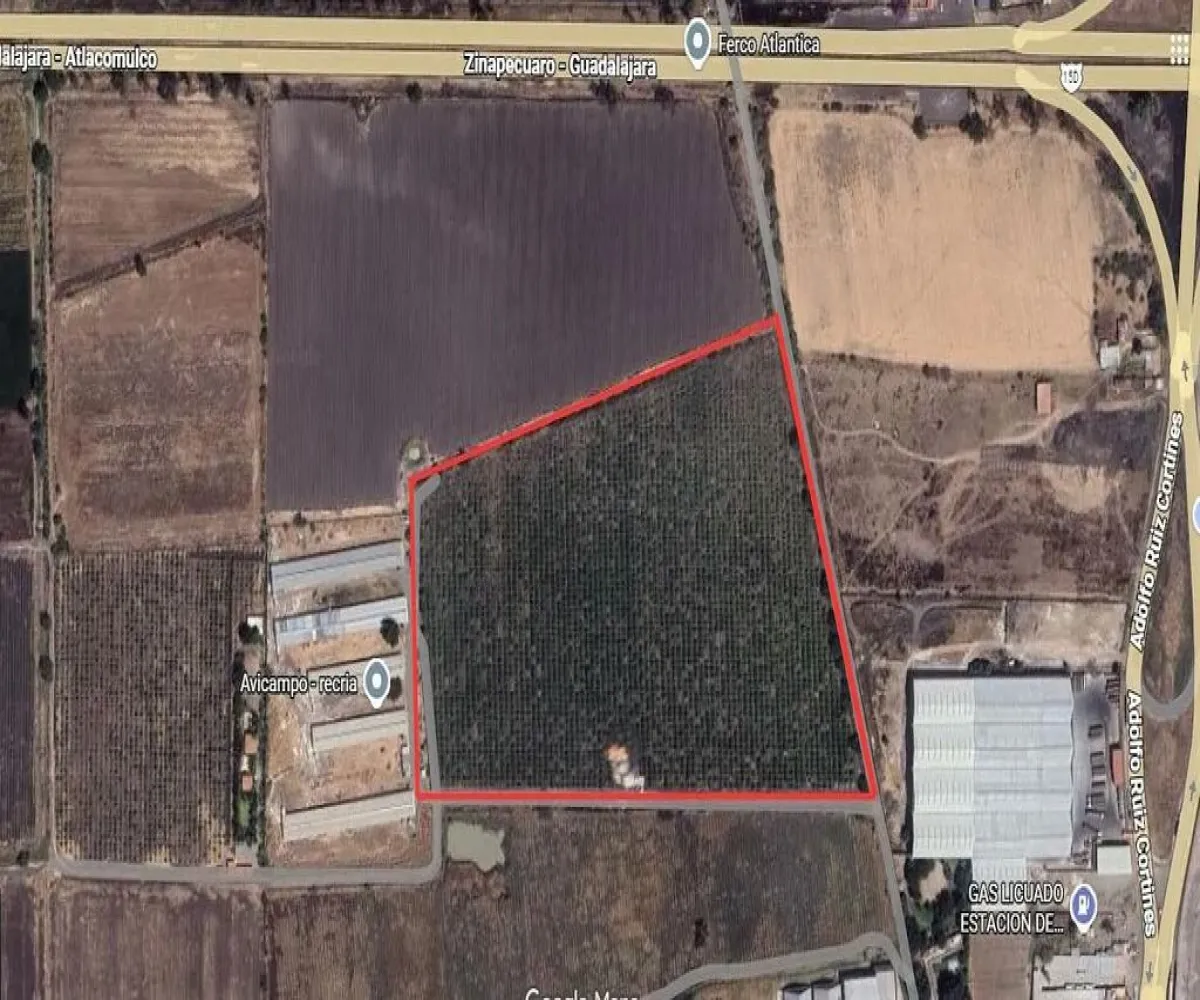 Terreno En Venta,San Antonio,Sabino S/N, La Barca, Jalisco 47925,Sabino,pFMtO2B