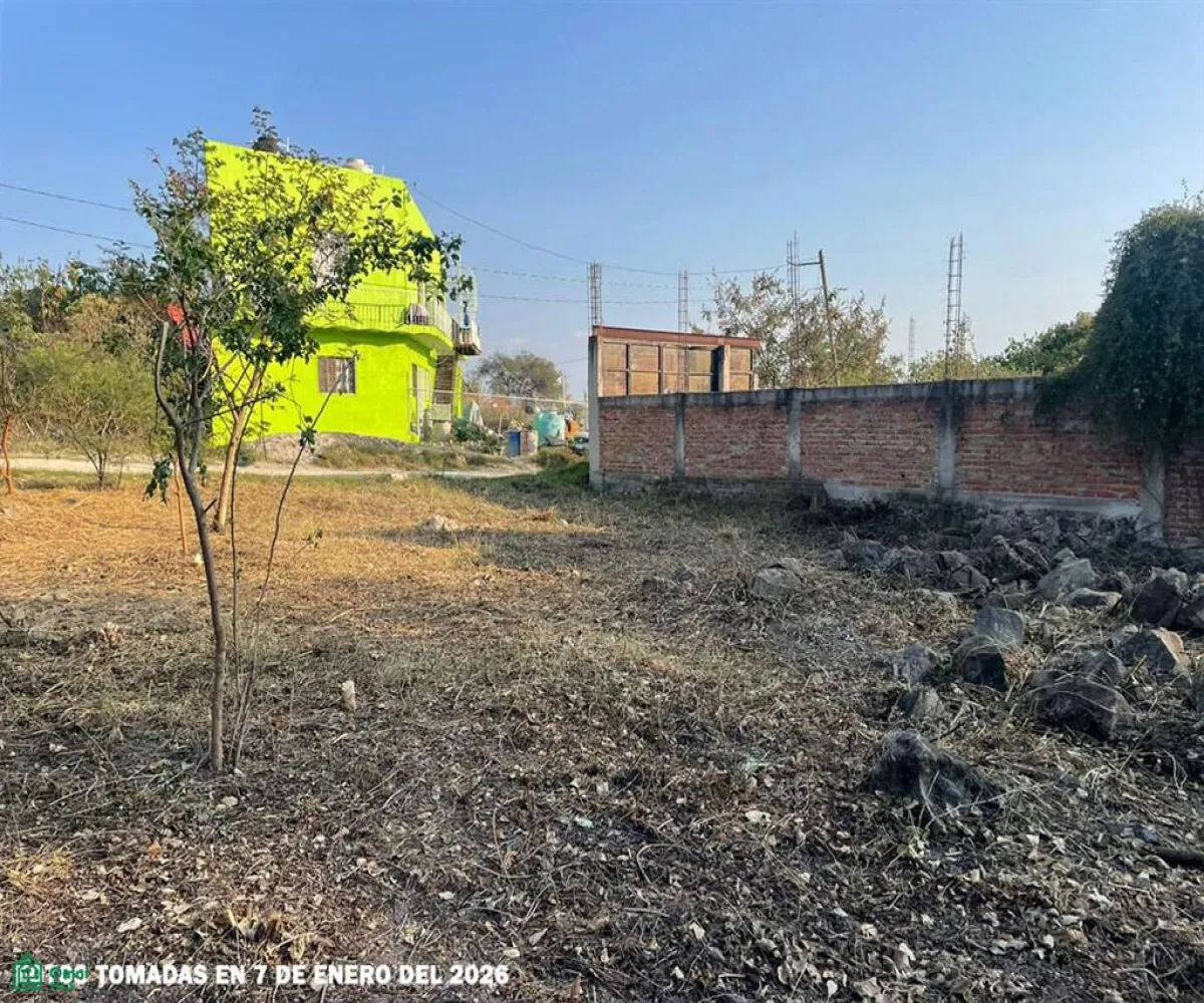 Terreno En Venta,Chapala Centro,FRACCIÓN 7 DE LA MANZANA 5, UBICADA DENTRO DEL FR 7, Manzana 5, Chapala, Jalisco 45900,FRACCIÓN 7 DE LA MANZANA 5, UBICADA DENTRO DEL FR,MX261067312