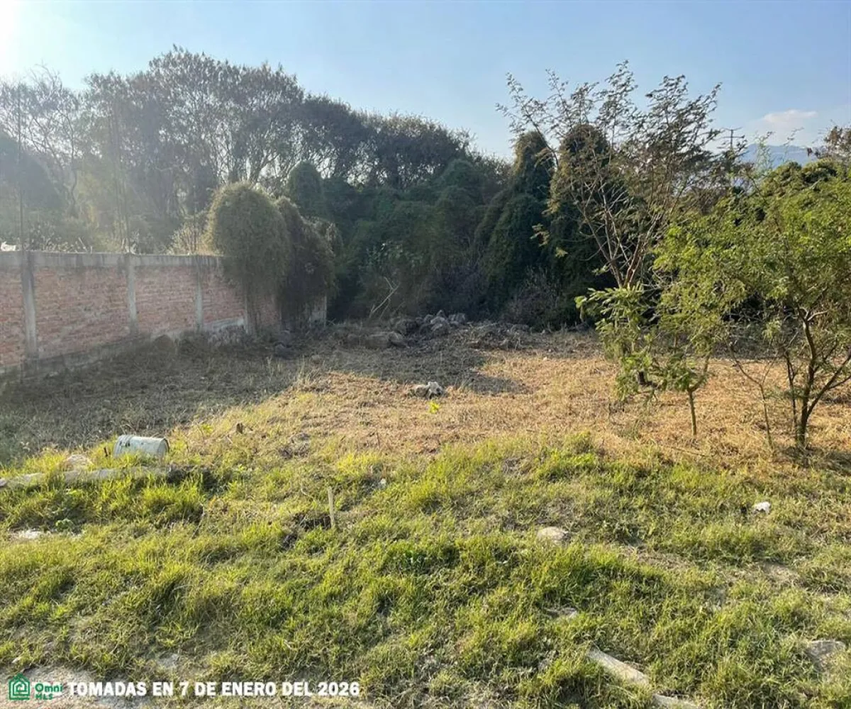 Terreno En Venta,Chapala Centro,FRACCIÓN 7 DE LA MANZANA 5, UBICADA DENTRO DEL FR 7, Manzana 5, Chapala, Jalisco 45900,FRACCIÓN 7 DE LA MANZANA 5, UBICADA DENTRO DEL FR,MX261067312