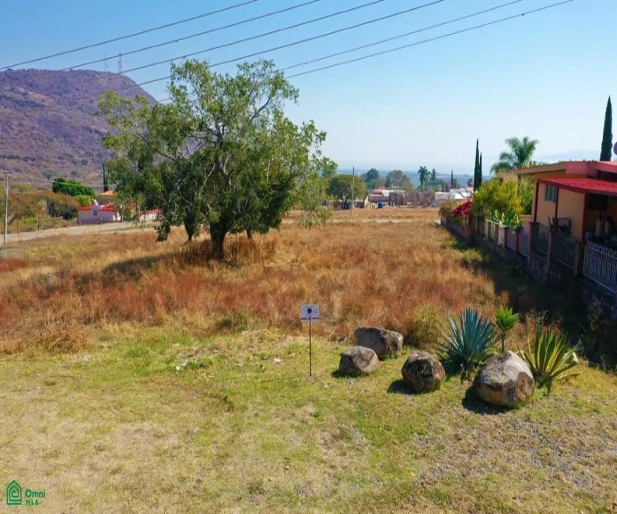 Terreno En Venta,Brisas de Chapala,Brisas de Chapala L 6 M 10, Chapala, Jalisco 45901,Brisas de Chapala,MX251068273