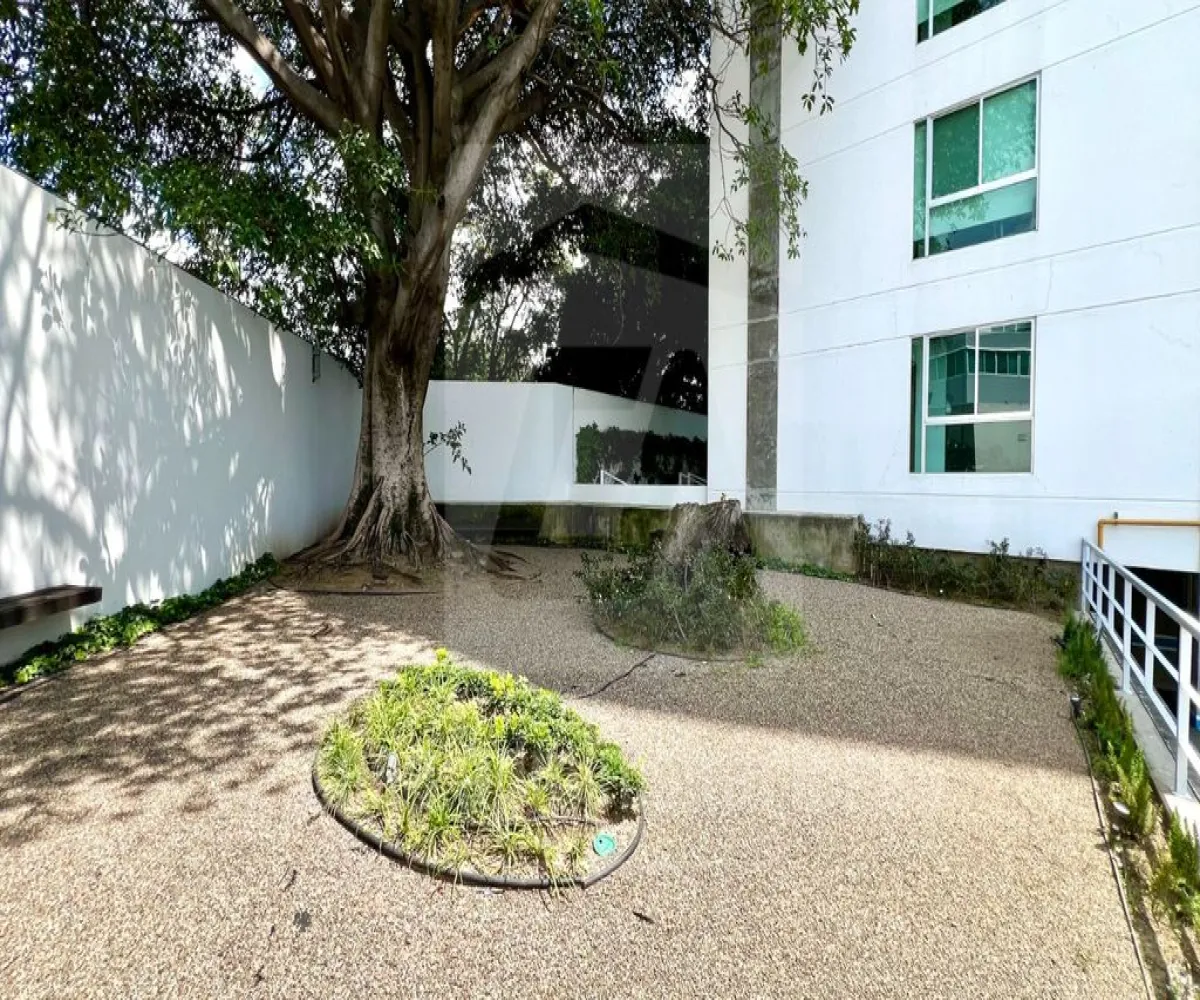 Departamento En Renta,Ayuntamiento,Calle José María Vigil 1716 900, Guadalajara, Jalisco 44620, 2 Habitaciones,2 Baños,Calle José María Vigil,1,phPhFMy