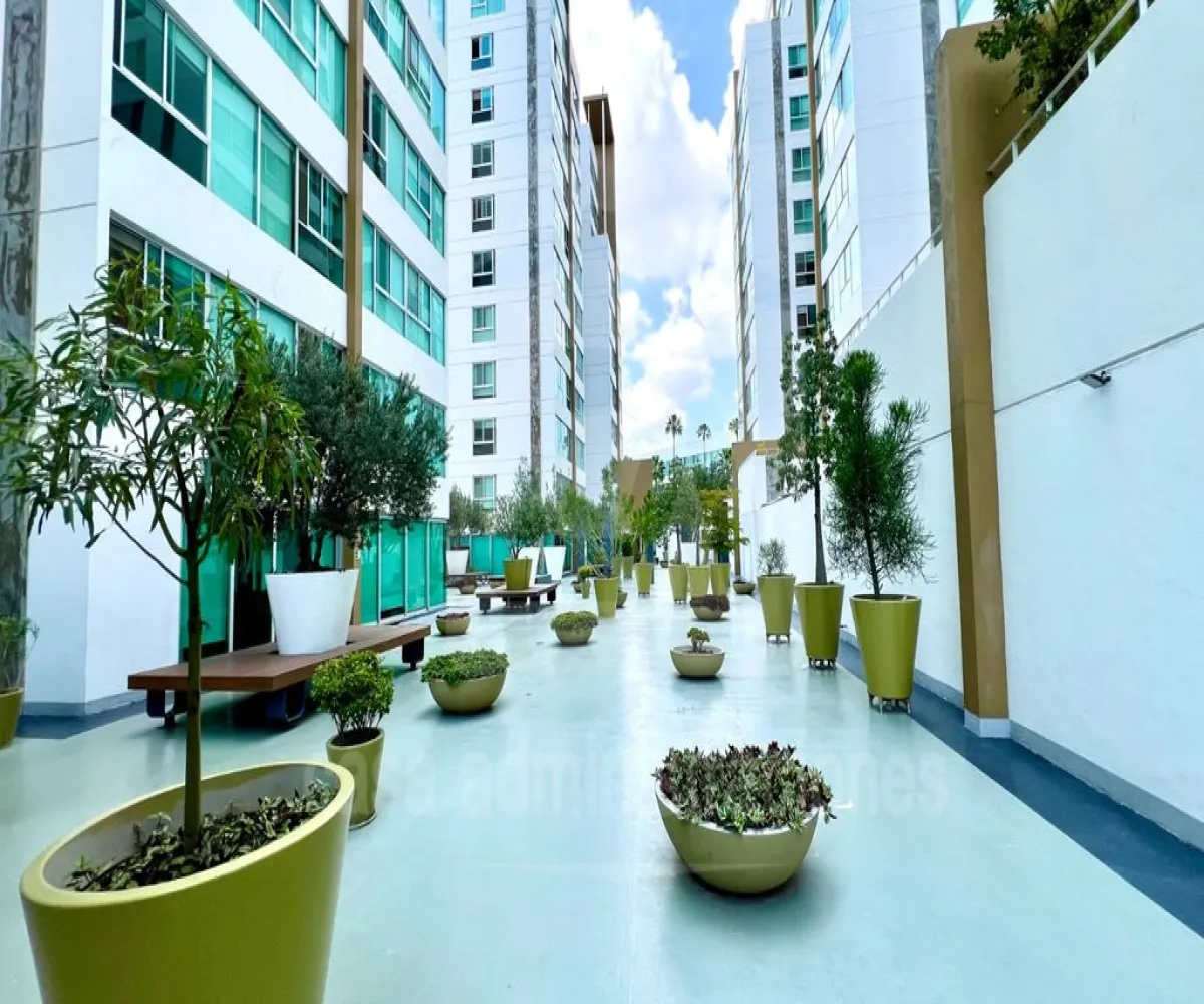 Departamento En Renta,Ayuntamiento,Calle José María Vigil 1716 900, Guadalajara, Jalisco 44620, 2 Habitaciones,2 Baños,Calle José María Vigil,1,phPhFMy