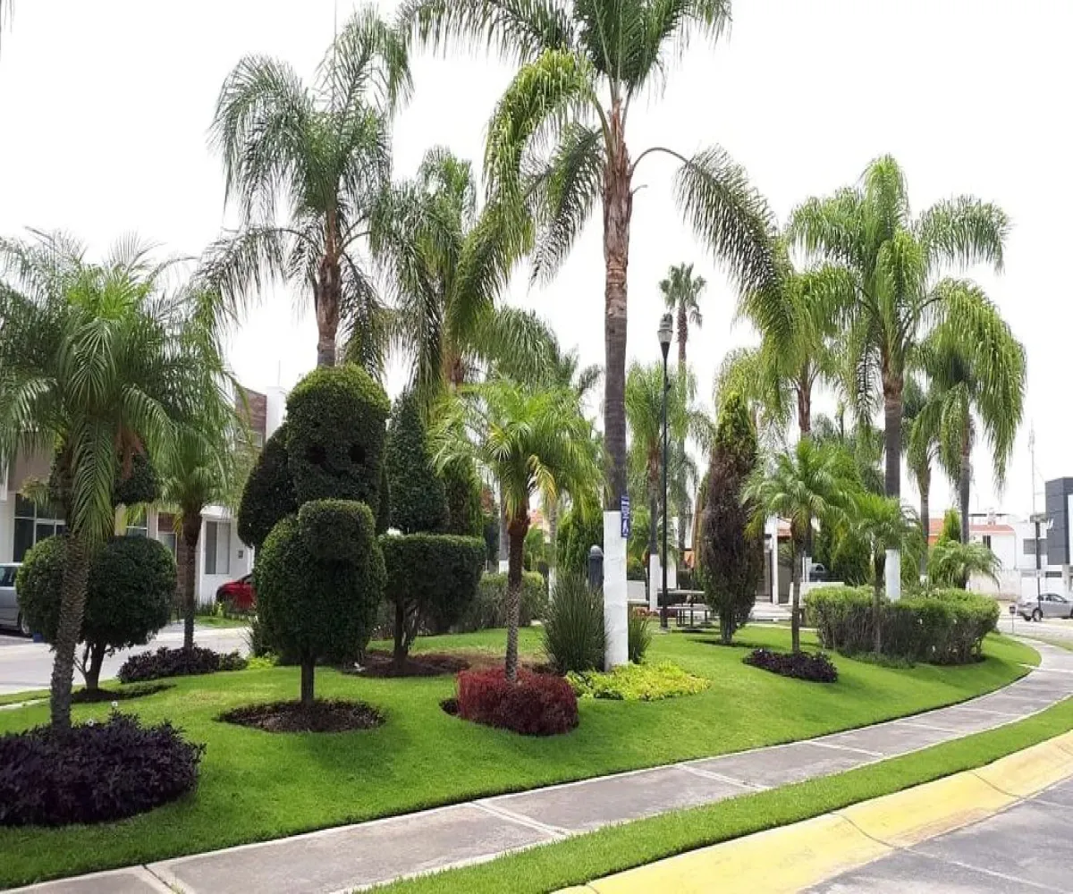 Casa En Venta,La Tijera,Calle Boulevard Valle del Silicio 50, Tlajomulco de Zúñiga, Jalisco 45645, 3 Habitaciones,2 Baños,Calle Boulevard Valle del Silicio,2,p1UfOTe