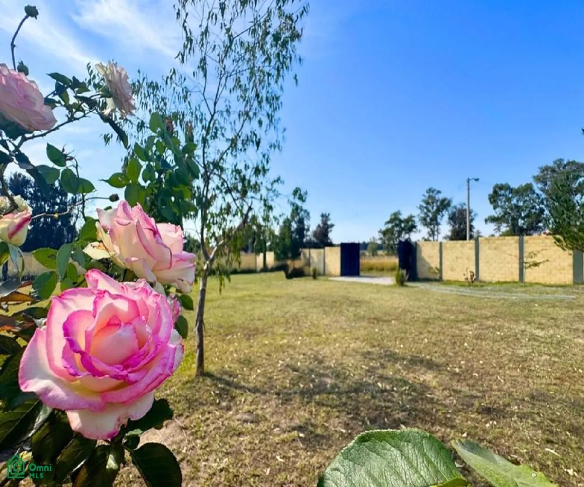 Terreno En Venta,Tesistán,Fracc. Colinas Del Martel S/N, Zapopan, Jalisco 45200,Fracc. Colinas Del Martel,MX261070508