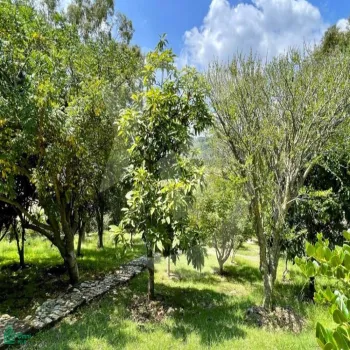 Casa En Venta,Ixtlahuacan De Los Membrillos,Camino de los Arrieros 3-B, Guadalajara, Jalisco 45850, 3 Habitaciones,4 Baños,Camino de los Arrieros,2,MX251061502