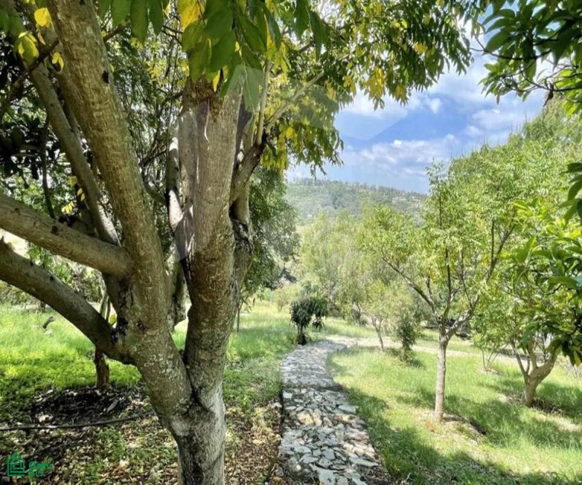 Casa En Venta,Ixtlahuacan De Los Membrillos,Camino de los Arrieros 3-B, Guadalajara, Jalisco 45850, 3 Habitaciones,4 Baños,Camino de los Arrieros,2,MX251061502