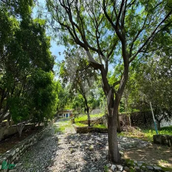 Casa En Venta,Ixtlahuacan De Los Membrillos,Camino de los Arrieros 3-B, Guadalajara, Jalisco 45850, 3 Habitaciones,4 Baños,Camino de los Arrieros,2,MX251061502