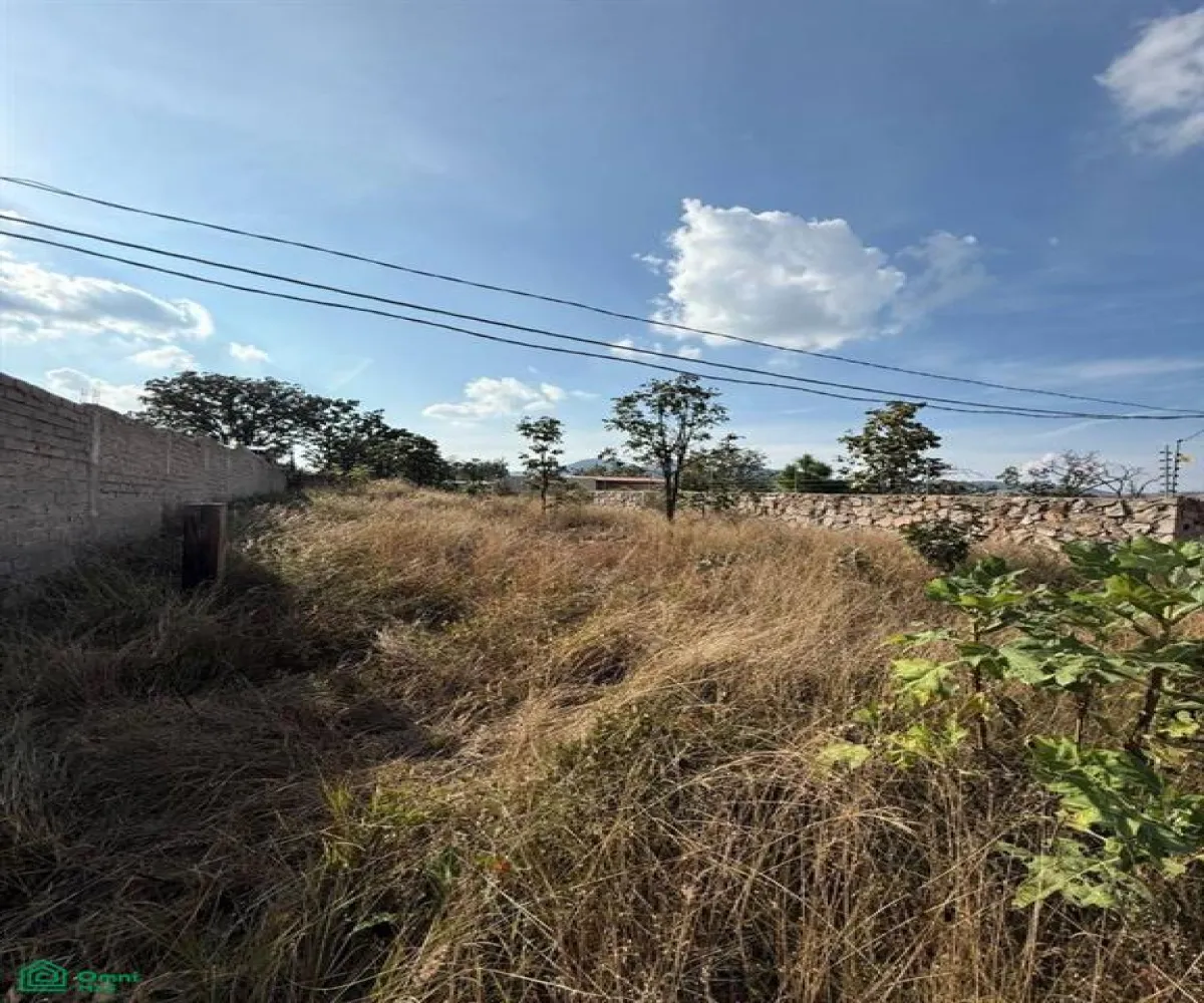 Terreno En Venta,Ejido Copalita,Rubi manzana 5 lote 26 s/n, Zapopan, Jalisco 45200,Rubi manzana 5 lote 26,MX251061797