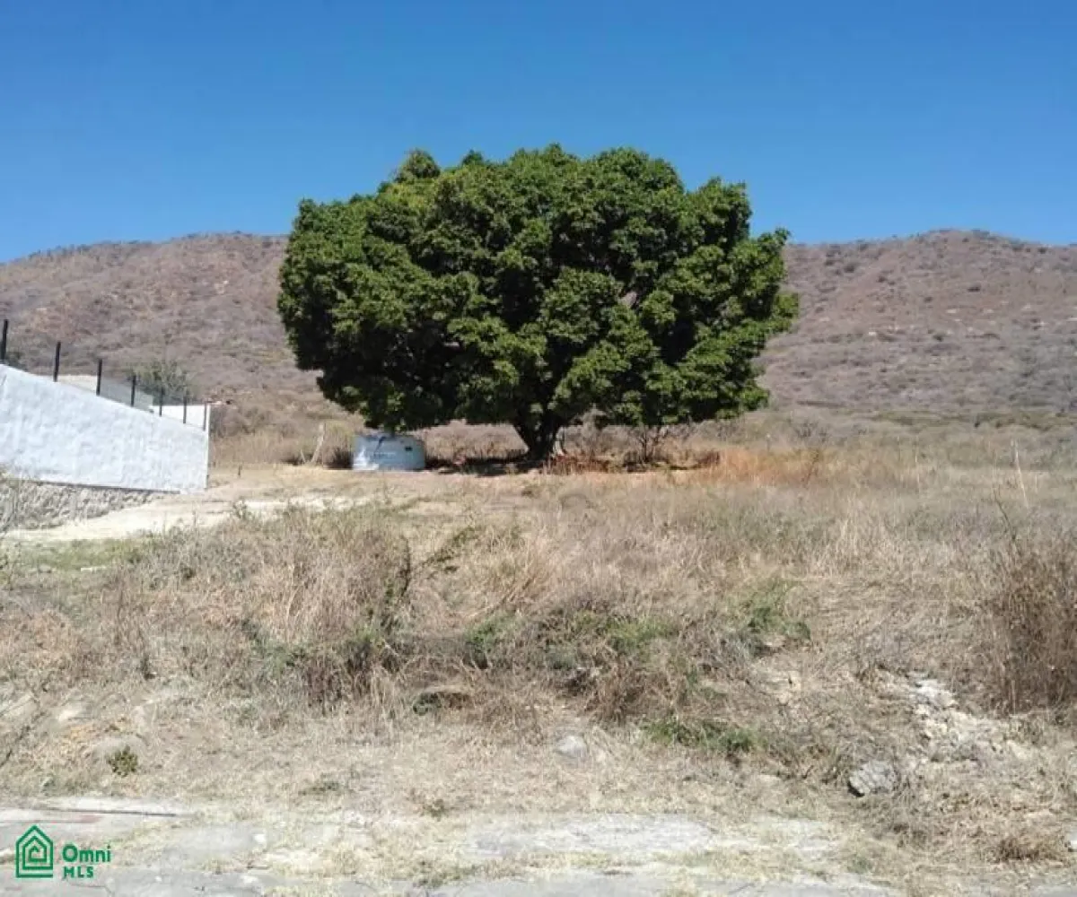 Terreno En Venta,Brisas de Chapala,Brisas del Norte Lote 25 Manzana 11, Chapala, Jalisco 45901,Brisas del Norte,MX25669940