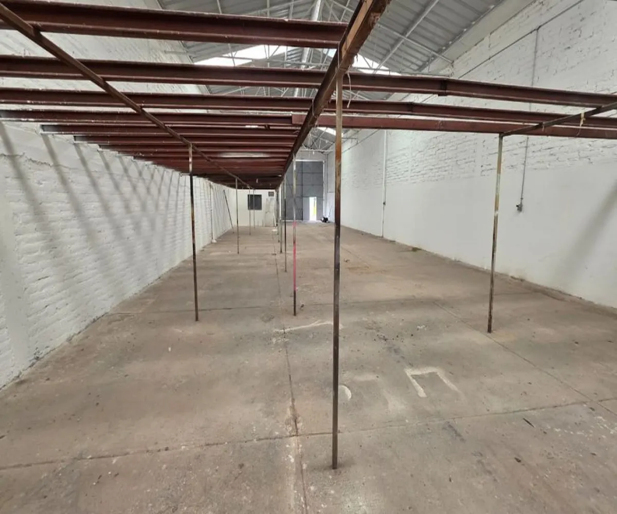 Bodega En Renta,Mascota,Manuel Martínez 478, Ocotlán, Jalisco 47860,Manuel Martínez,1,prgnDLT