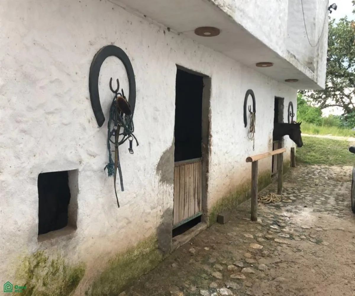 Departamento En Venta,San Isidro,cuspide 11, Zapopan, Jalisco 45204, 5 Habitaciones,2 Baños,cuspide,2,MX261072021