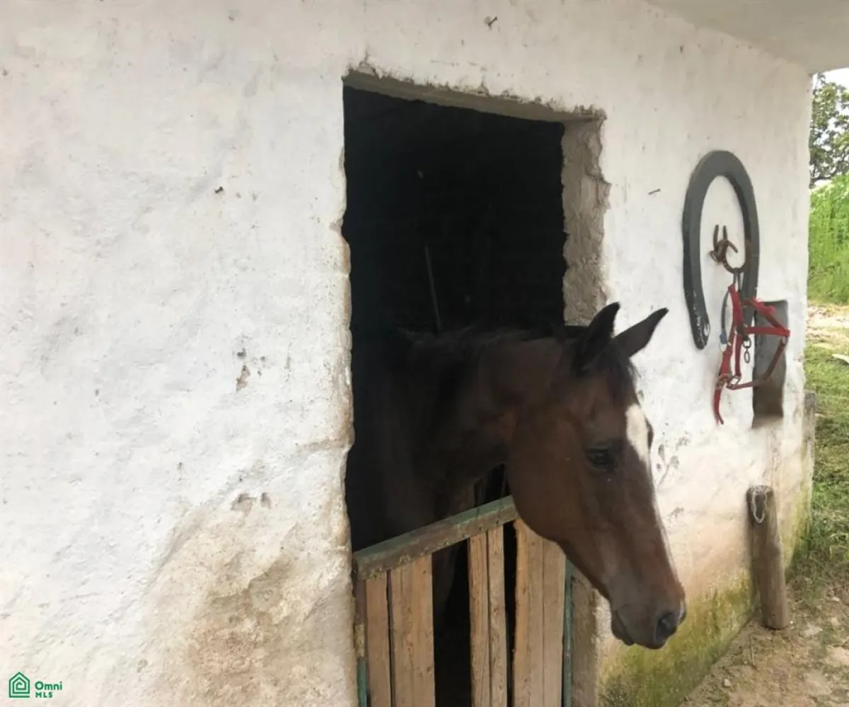 Departamento En Venta,San Isidro,cuspide 11, Zapopan, Jalisco 45204, 5 Habitaciones,2 Baños,cuspide,2,MX261072021