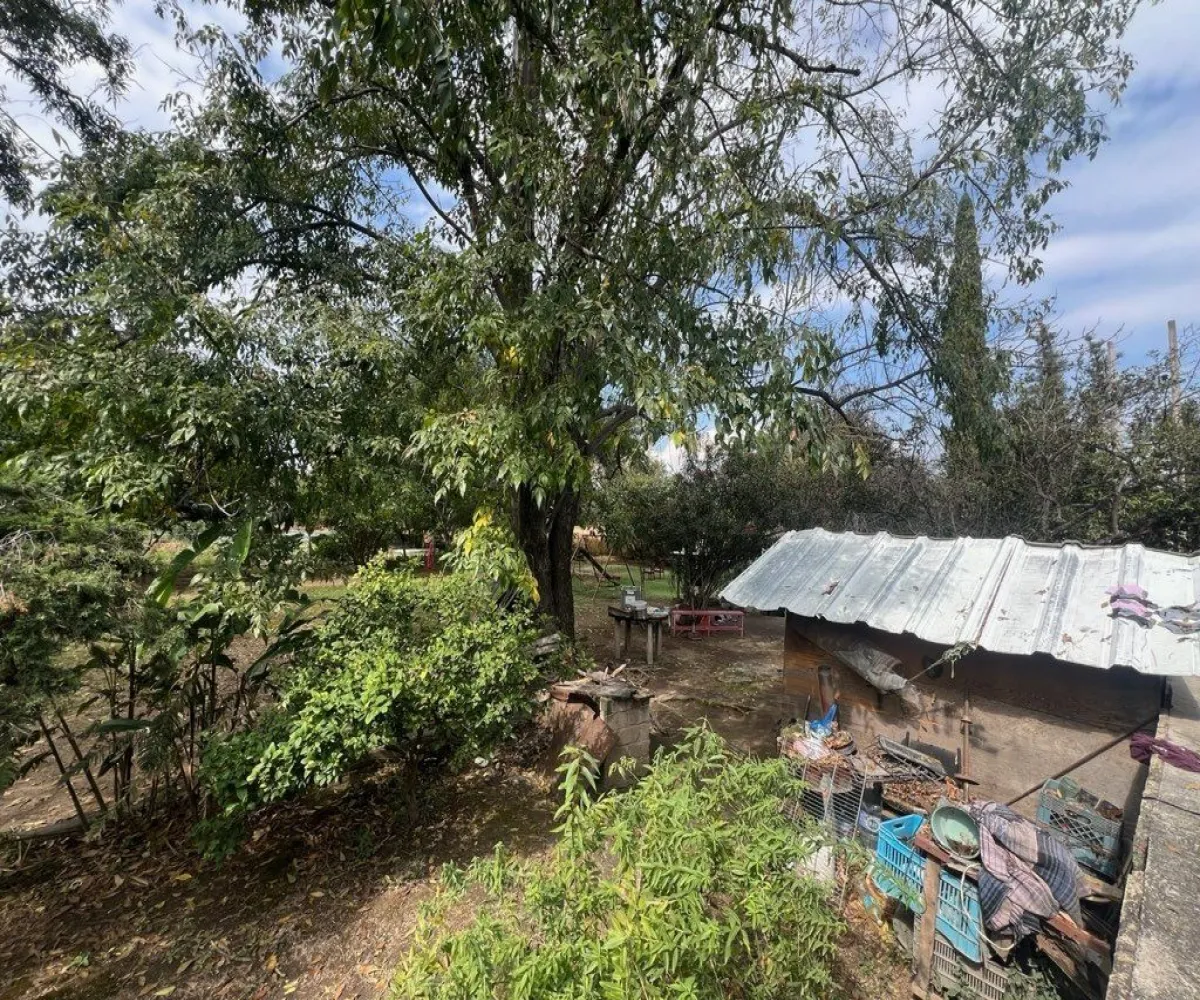 Terreno En Venta,Lomas De San Agustin,Camino a La Pedrera 168, Tlajomulco de Zúñiga, Jalisco 45650,Camino a La Pedrera,pPK5nqH