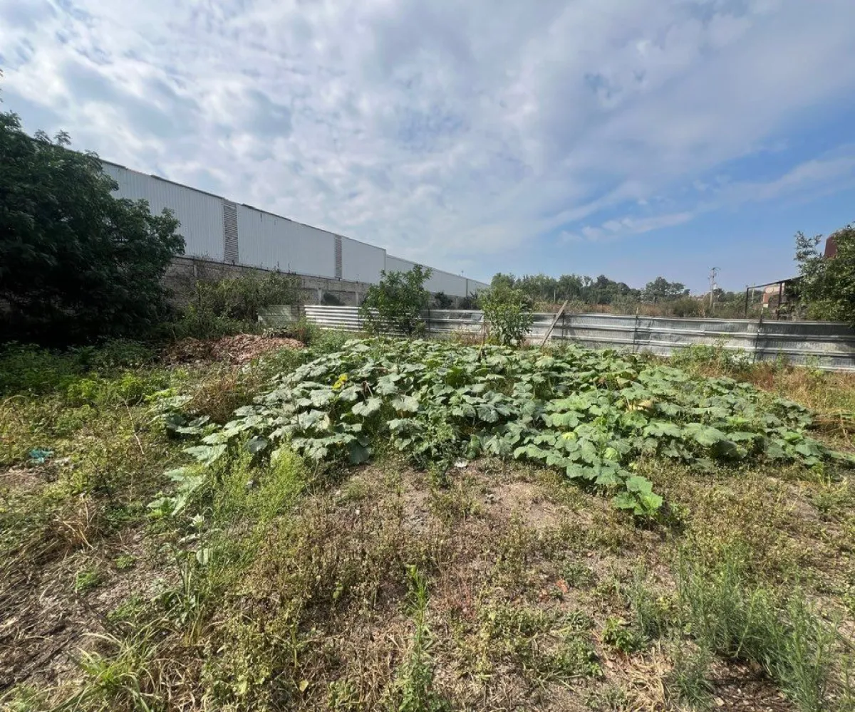 Terreno En Venta,Lomas De San Agustin,Camino a La Pedrera 168, Tlajomulco de Zúñiga, Jalisco 45650,Camino a La Pedrera,pPK5nqH