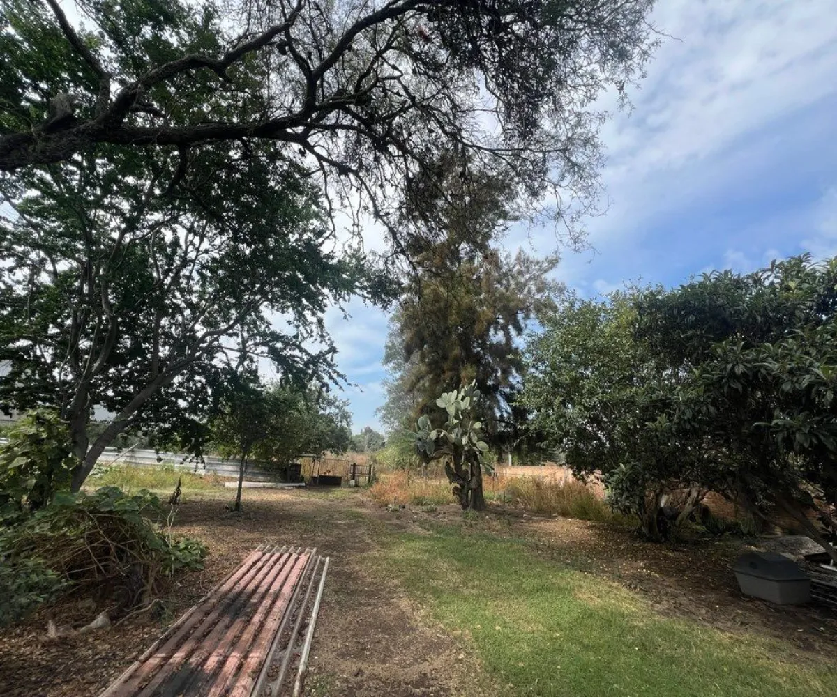 Terreno En Venta,Lomas De San Agustin,Camino a La Pedrera 168, Tlajomulco de Zúñiga, Jalisco 45650,Camino a La Pedrera,pPK5nqH