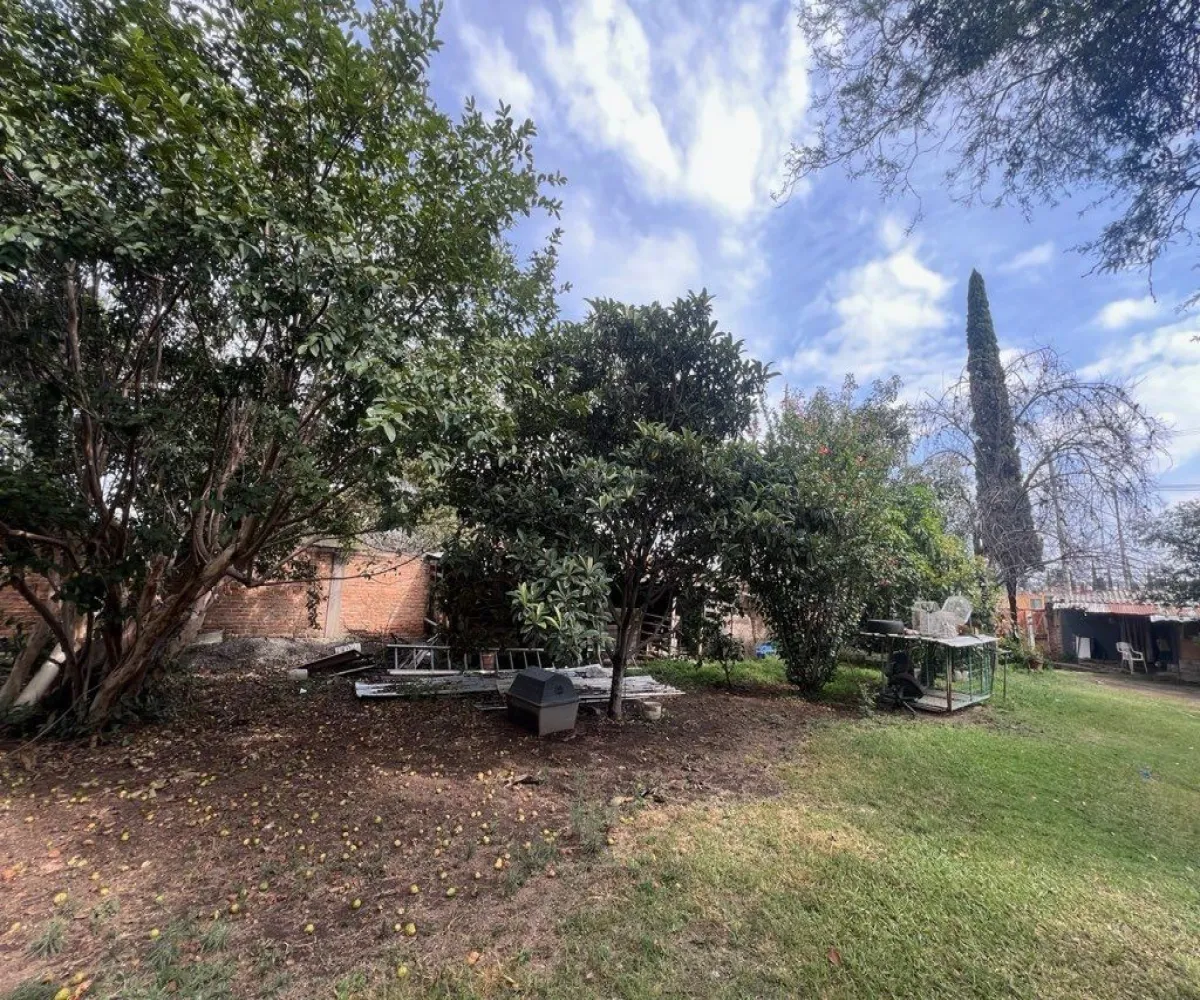 Terreno En Venta,Lomas De San Agustin,Camino a La Pedrera 168, Tlajomulco de Zúñiga, Jalisco 45650,Camino a La Pedrera,pPK5nqH