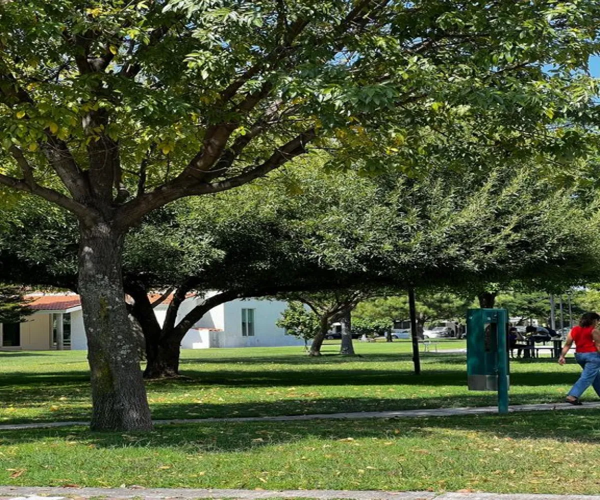 Casa En Venta,Jardines del Valle,Av. Valle de Ameca S/N, Zapopan, Jalisco 45138, 3 Habitaciones,3 Baños,Av. Valle de Ameca,1,pJI1QRF