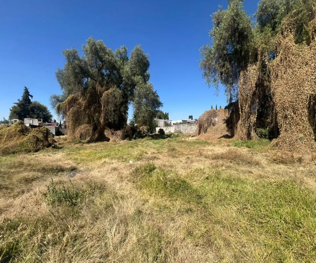 Terreno En Venta,Melchor Ocampo,Cerrada Libertad 32, Melchor Ocampo, México 54880,Cerrada Libertad,pUbhZlr