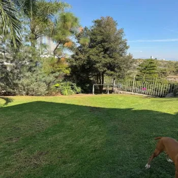 Terreno En Venta,Virreyes,Paseo de los Virreyes 971 A11F, Zapopan, Jalisco 45110,Paseo de los Virreyes,pBZbN22