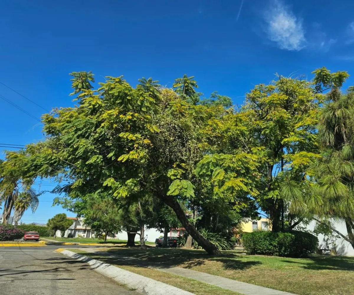 Casa En Venta,Puerta del Llano,Avenida Ganaderos de Jalisco S/N, Zapopan, Jalisco 45200, 2 Habitaciones,2 Baños,Avenida Ganaderos de Jalisco,1,pheX3Kq