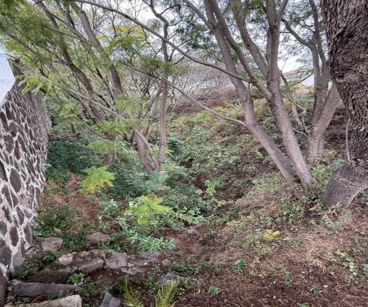 Terreno En Venta,Las Cañadas,La Pradera 11, Jal., Jalisco,La Pradera,psAdoaG