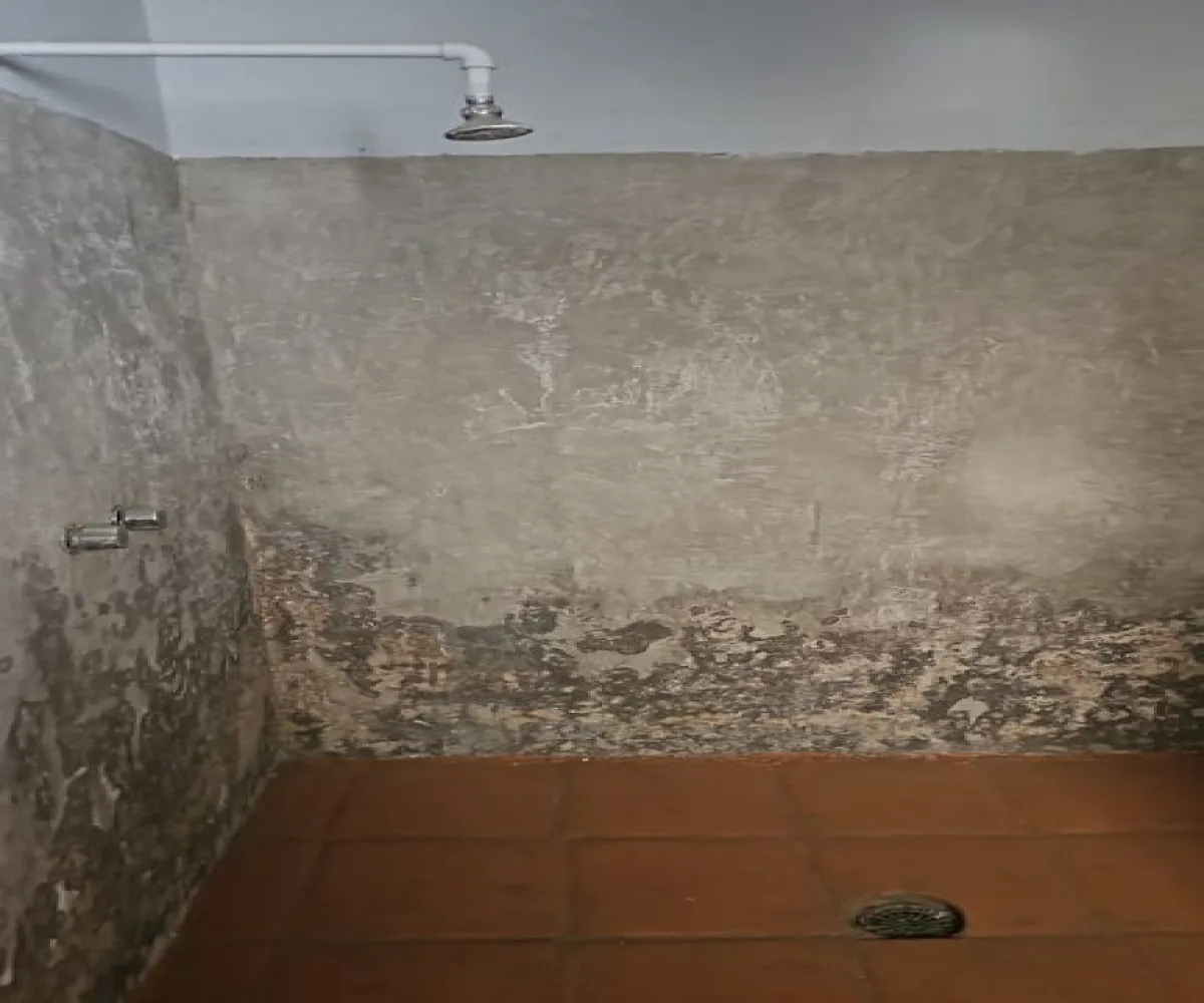 Casa En Venta,De Santiago,Calle Tonalá 40, San Pedro Tlaquepaque, Jalisco 45500, 1 Cuarto,1 Baño,Calle Tonalá,1,pbOIKF1