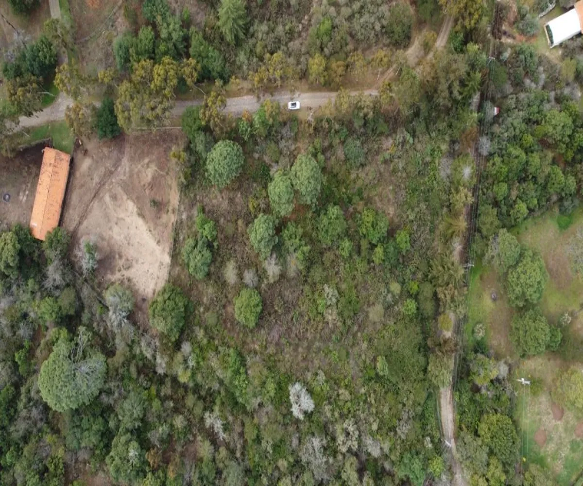 Terreno En Venta,Tapalpa Country Club,Camino Rincón de los Pastores S/N, Tapalpa, Jalisco 49355,Camino Rincón de los Pastores,ppZkpfF