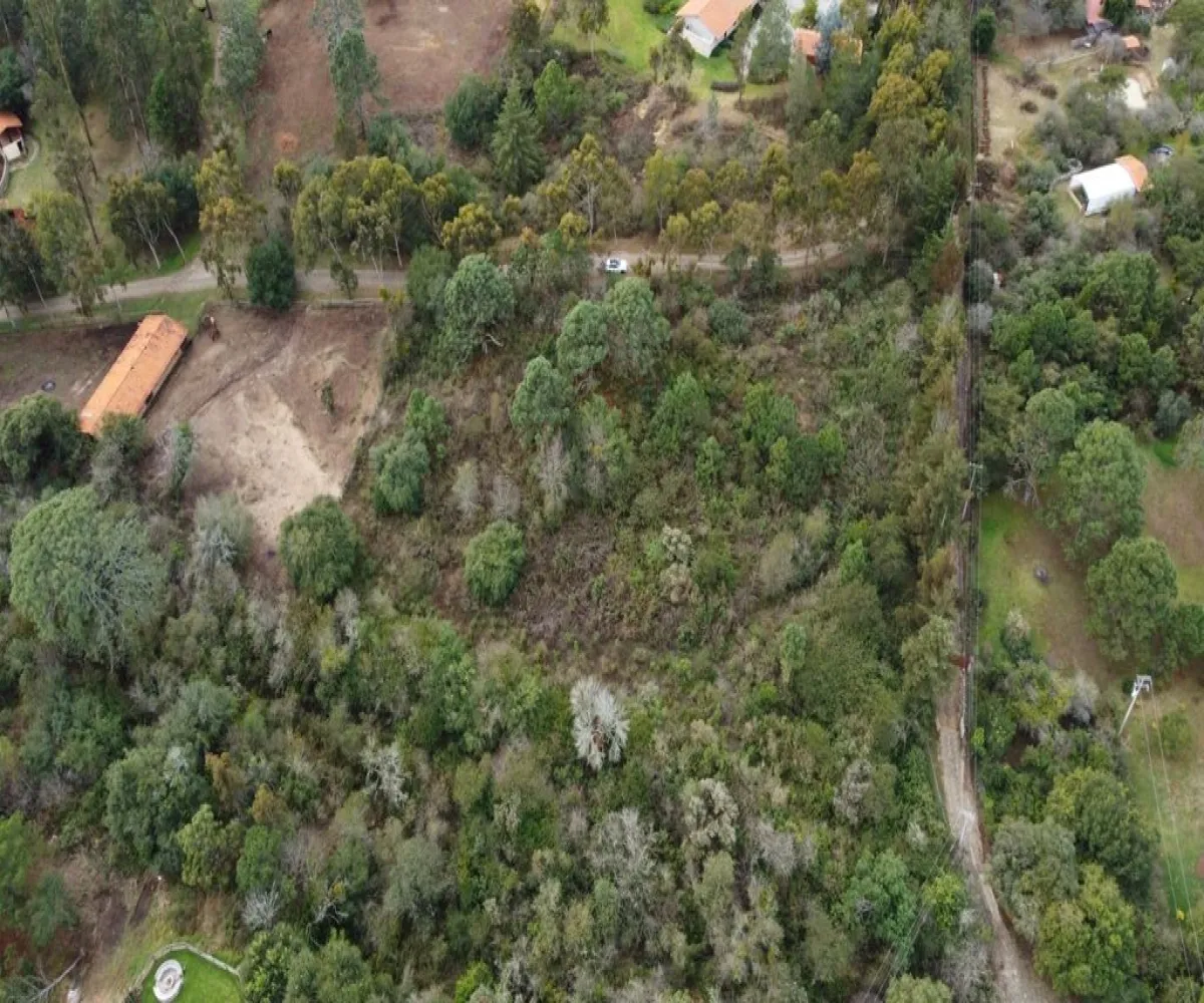 Terreno En Venta,Tapalpa Country Club,Camino Rincón de los Pastores S/N, Tapalpa, Jalisco 49355,Camino Rincón de los Pastores,ppZkpfF