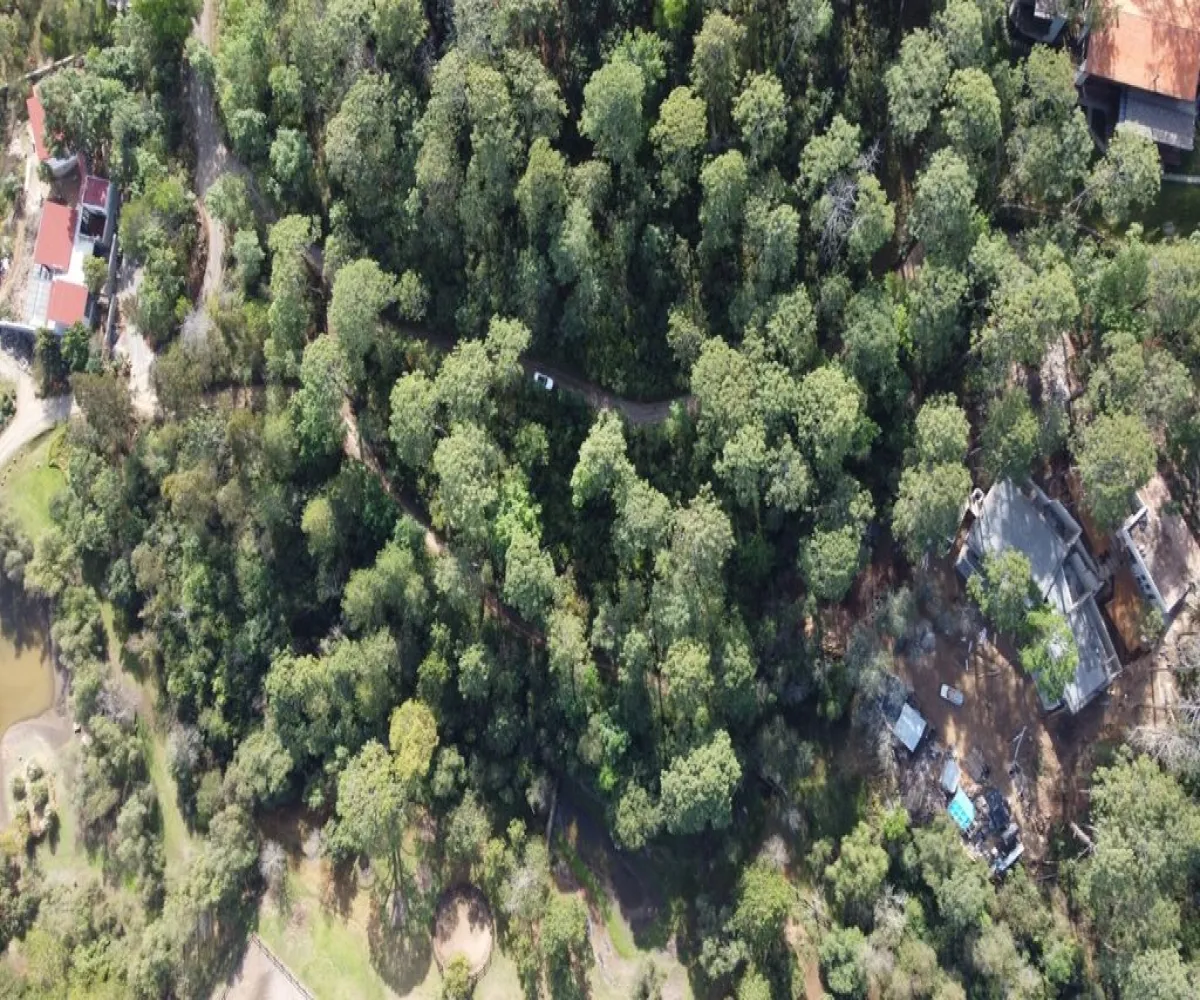 Terreno En Venta,Tapalpa Country Club ,Camino Rincón de los Pastores S/N, Tapalpa, Jalisco 49355,Camino Rincón de los Pastores,pA11PV9