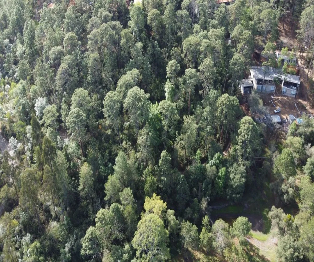 Terreno En Venta,Tapalpa Country Club ,Camino Rincón de los Pastores S/N, Tapalpa, Jalisco 49355,Camino Rincón de los Pastores,pA11PV9