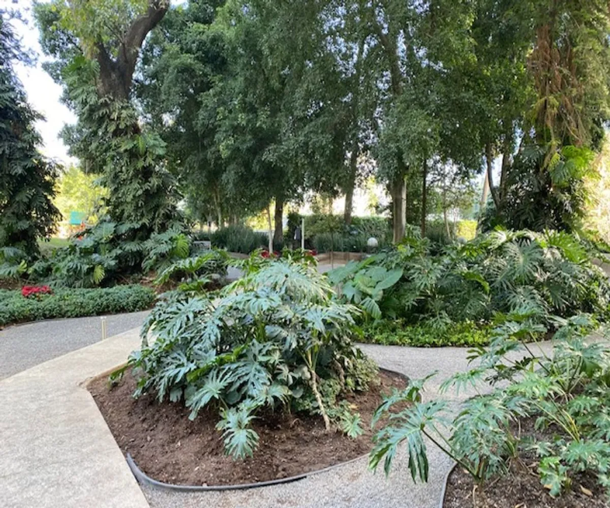 Departamento En Renta,vallarta san jorge,Diagonal San Jorge 93 4, Guadalajara, Jalisco 44690, 2 Habitaciones,2 Baños,Diagonal San Jorge,26,p7sY3I9