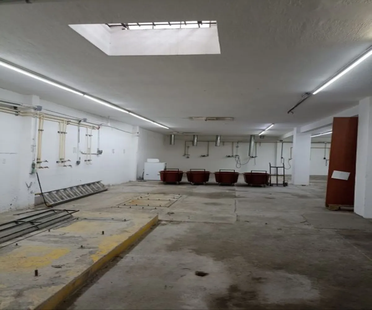 Bodega En Venta,Villa Mariano Escobedo,Calle Jorge Delorme y Campos 124 - A, Guadalajara, Jalisco 44800,1 Baño,Calle Jorge Delorme y Campos,1,pg8oCE6