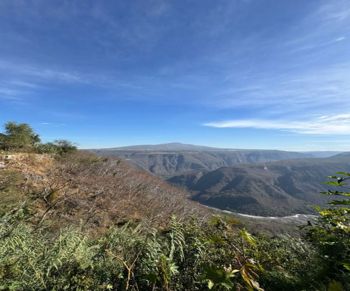 Departamento En PreVenta,San Miguel de Huentitán,Calle Camichines y/o Felix Vera 3750, Guadalajara, Jalisco 44300, 1 Cuarto,2 Baños,Calle Camichines y/o Felix Vera,1,pQsQGxn