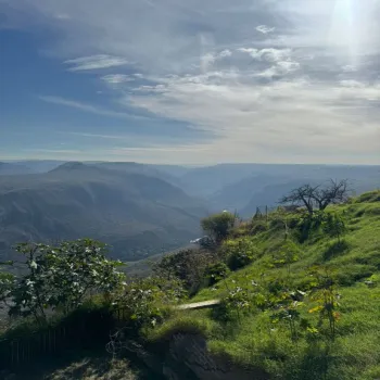 Departamento En PreVenta,San Miguel de Huentitán,Calle Camichines y/o Felix Vera 3750, Guadalajara, Jalisco 44300, 1 Cuarto,2 Baños,Calle Camichines y/o Felix Vera,1,pQsQGxn