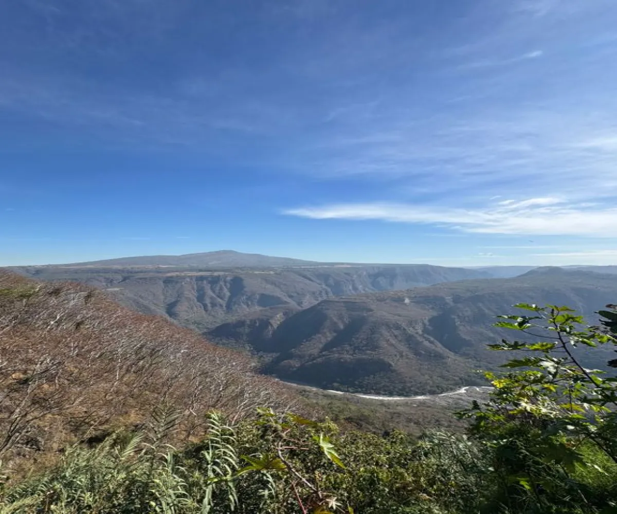 Departamento En PreVenta,San Miguel de Huentitán,Calle Camichines y/o Felix Vera 3750, Guadalajara, Jalisco 44300, 1 Cuarto,2 Baños,Calle Camichines y/o Felix Vera,1,pQsQGxn