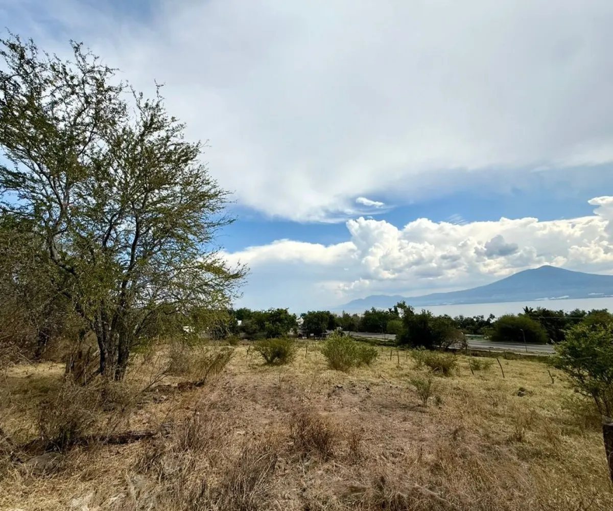Terreno En PreVenta,La Noria,Carretera Jocotepec-Chapala 743, Jocotepec, Jalisco 45820,Carretera Jocotepec-Chapala,pjAa6rl