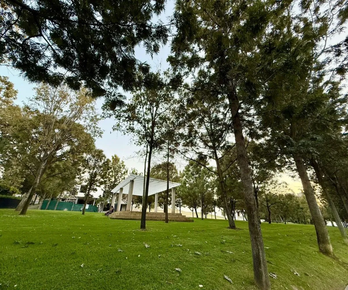 Terreno En Venta,Vallarta Universidad,Avenida Juan Palomar y Arias 1260, Zapopan, Jalisco 45110,Avenida Juan Palomar y Arias,ptjYjBZ