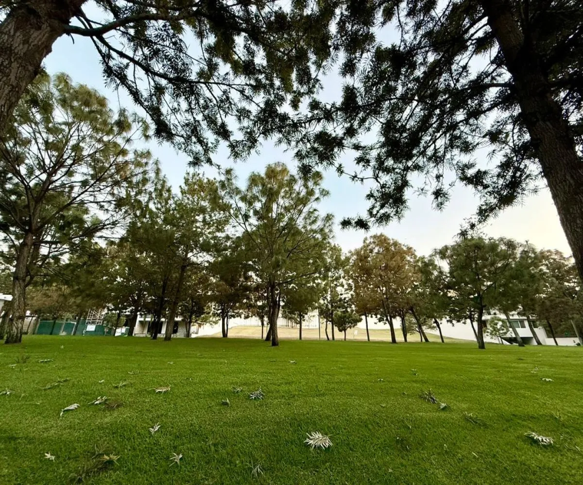 Terreno En Venta,Vallarta Universidad,Avenida Juan Palomar y Arias 1260, Zapopan, Jalisco 45110,Avenida Juan Palomar y Arias,ptjYjBZ