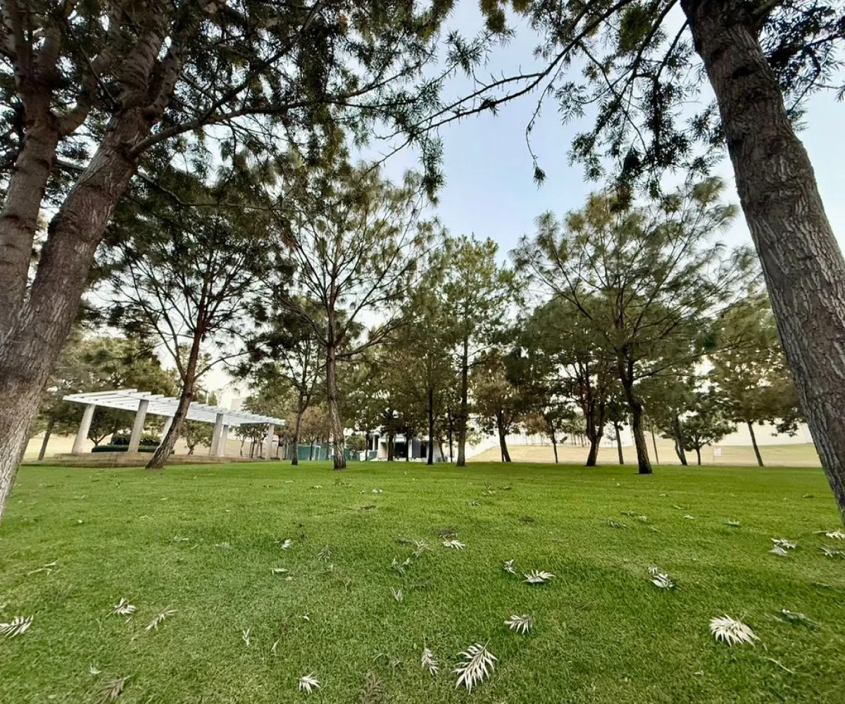 Terreno En Venta,Vallarta Universidad,Avenida Juan Palomar y Arias 1260, Zapopan, Jalisco 45110,Avenida Juan Palomar y Arias,ptjYjBZ