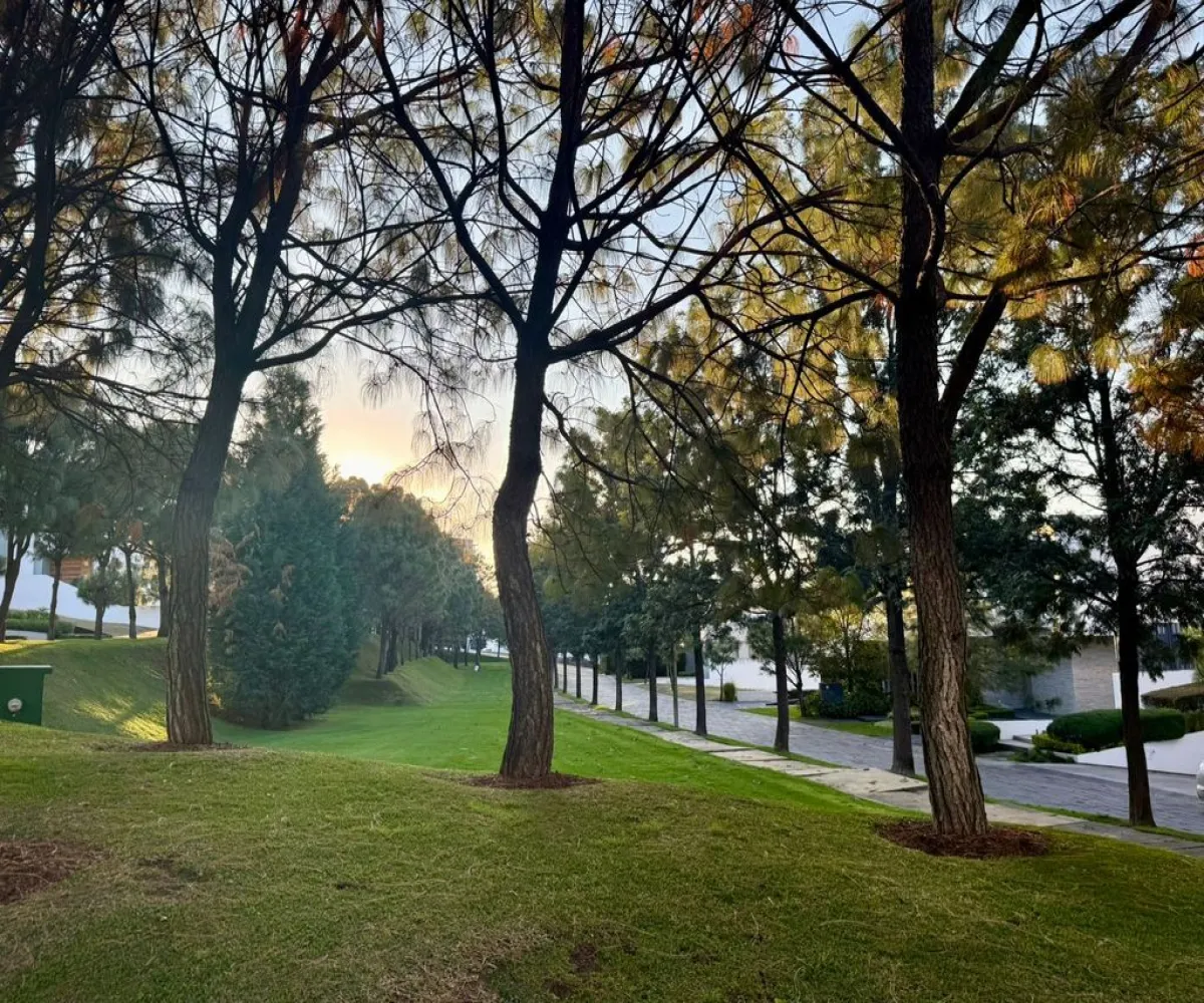 Terreno En Venta,Vallarta Universidad,Avenida Juan Palomar y Arias 1260, Zapopan, Jalisco 45110,Avenida Juan Palomar y Arias,ptjYjBZ