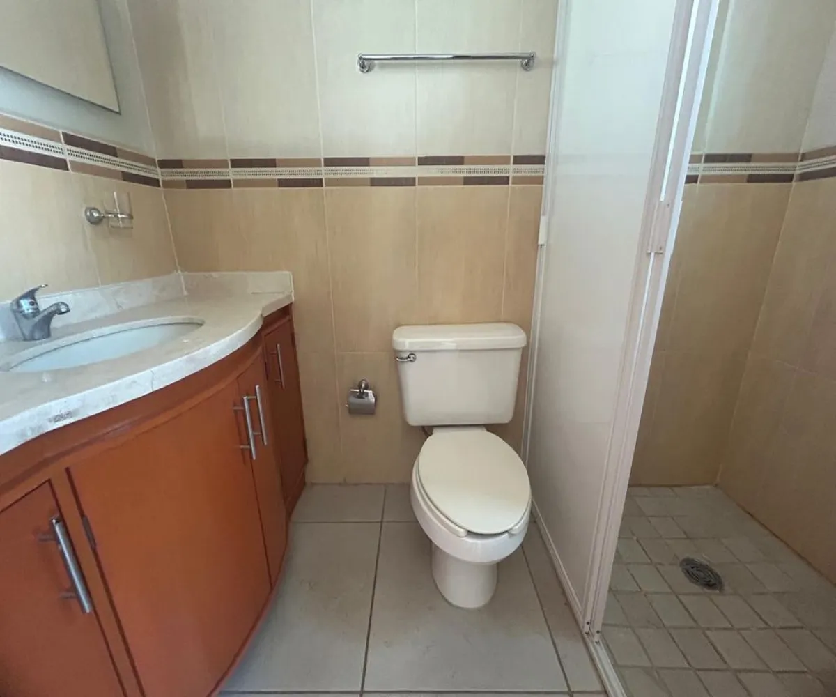 Casa En Renta,Jardín Real,Jardín de Las Victorias Este 1 50, Zapopan, Jalisco 45136, 3 Habitaciones,3 Baños,Jardín de Las Victorias Este,1,pCwtwU8