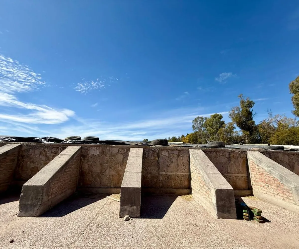 Terreno En Venta,Rancho el cueto S/N, Encarnación de Díaz, Jalisco 47270, 4 Habitaciones,4 Baños,Rancho el cueto,1,pPD1hNr