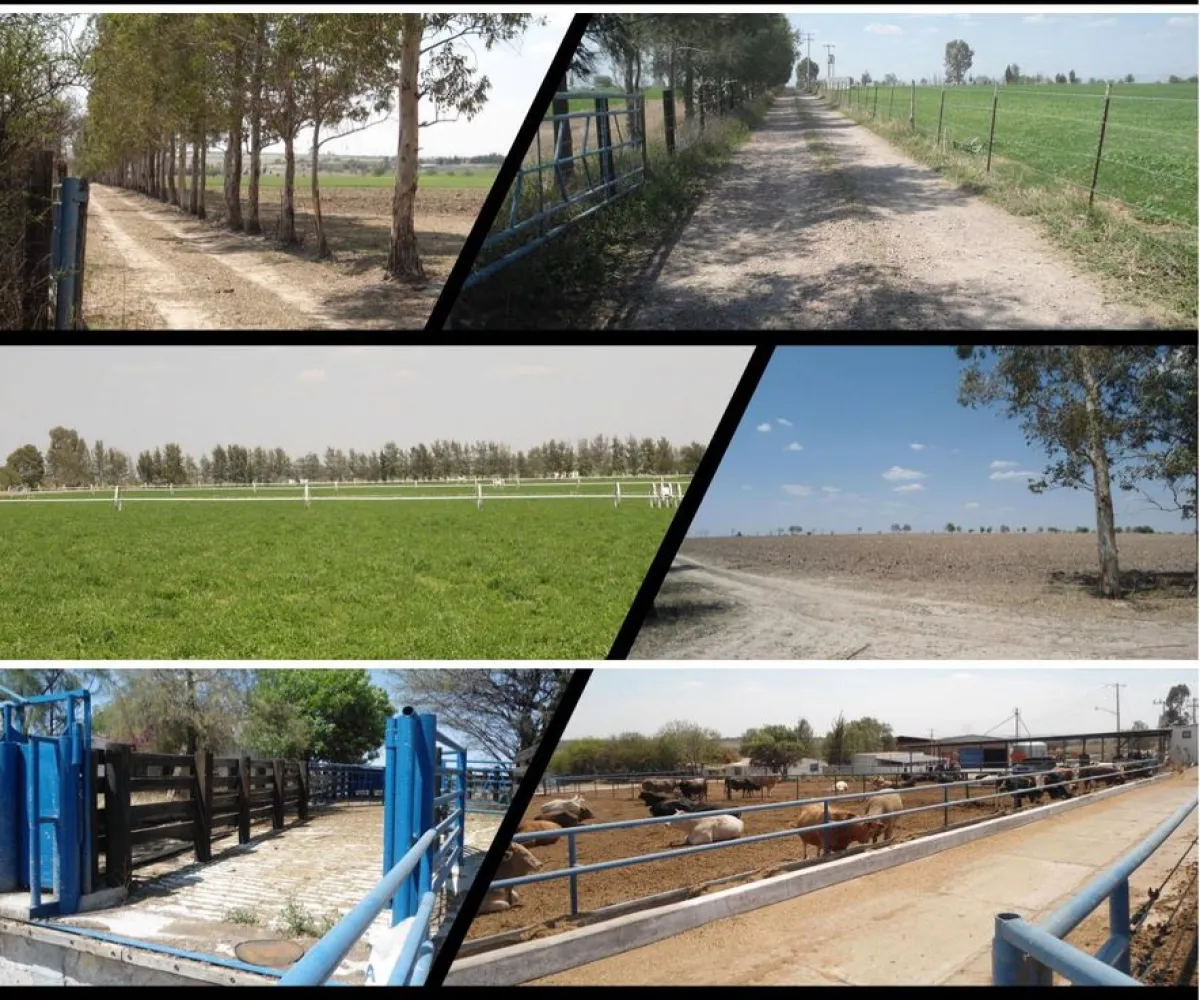 Terreno En Venta,Rancho el cueto S/N, Encarnación de Díaz, Jalisco 47270, 4 Habitaciones,4 Baños,Rancho el cueto,1,pPD1hNr