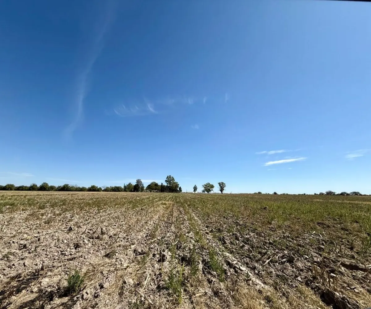 Terreno En Venta,Rancho el cueto S/N, Encarnación de Díaz, Jalisco 47270, 4 Habitaciones,4 Baños,Rancho el cueto,1,pPD1hNr