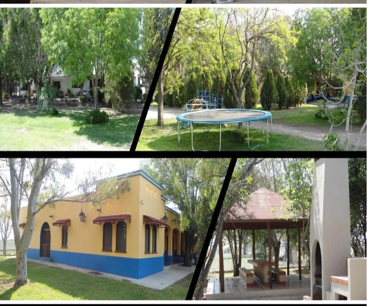 Terreno En Venta,Rancho el cueto S/N, Encarnación de Díaz, Jalisco 47270, 4 Habitaciones,4 Baños,Rancho el cueto,1,pPD1hNr